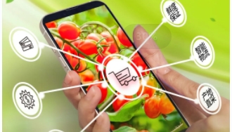 集群e家直供模式，让“菜园子”直通“菜篮子”！