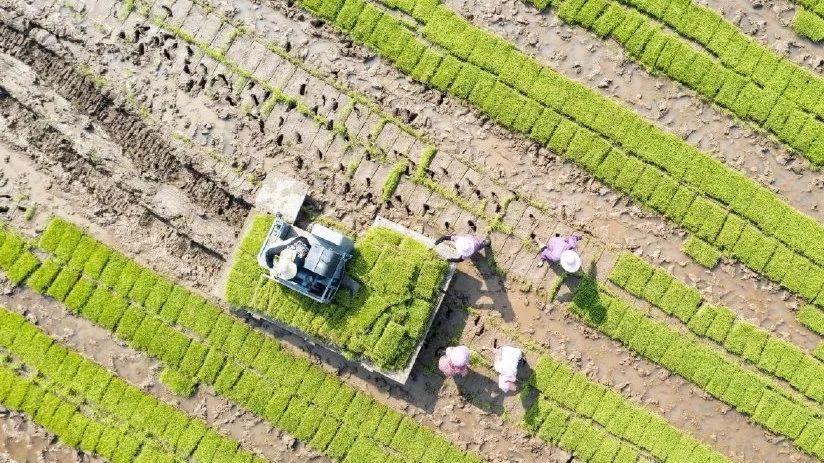 供销社全网走红，集群e家协力全面助农兴农！