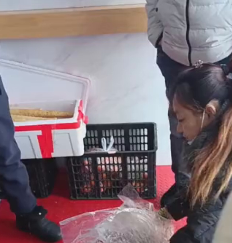 集群e家同城产品供应火热出圈