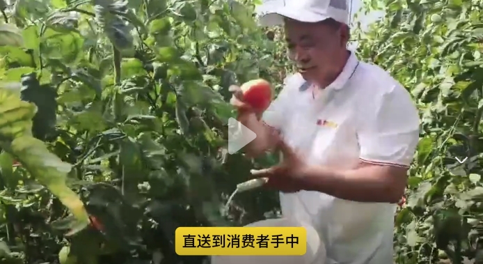 阜新公司预定产品火爆社区，消费者好评不断